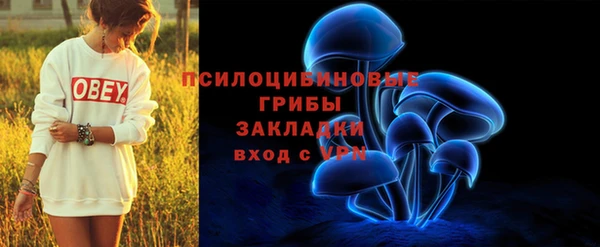 синтетический гашиш Богородск