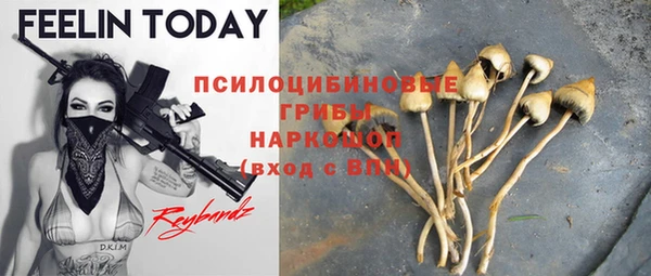 синтетический гашиш Богородск