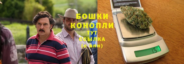 метадон Богородицк